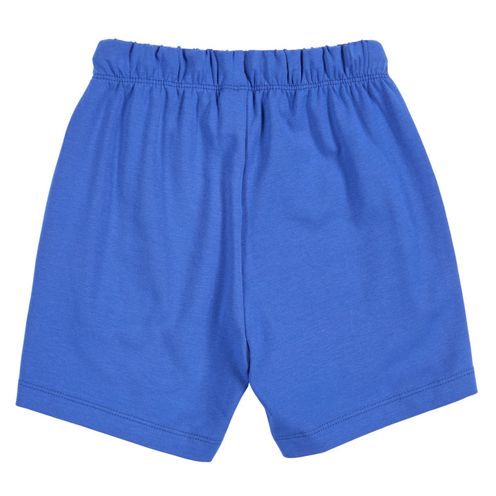 CLUBHOUSE shorts