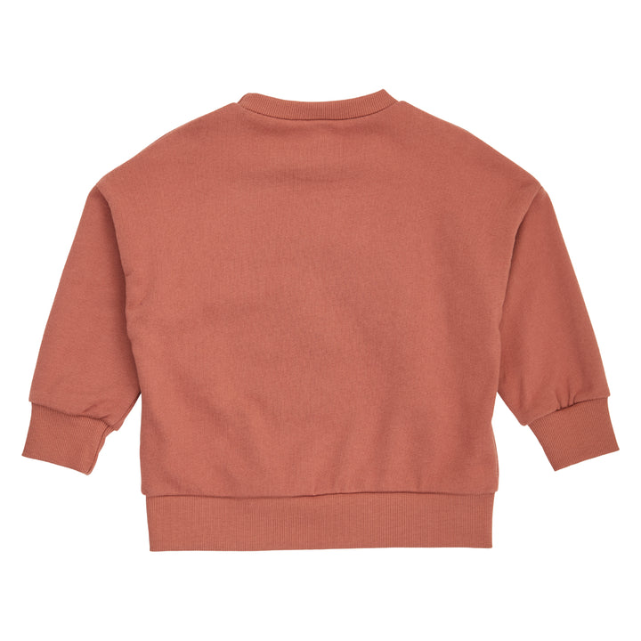 HELLO krokodille sweattrøje