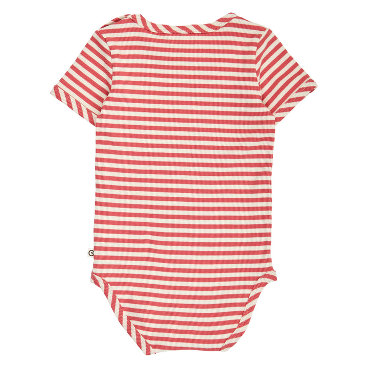RIB STRIPE body